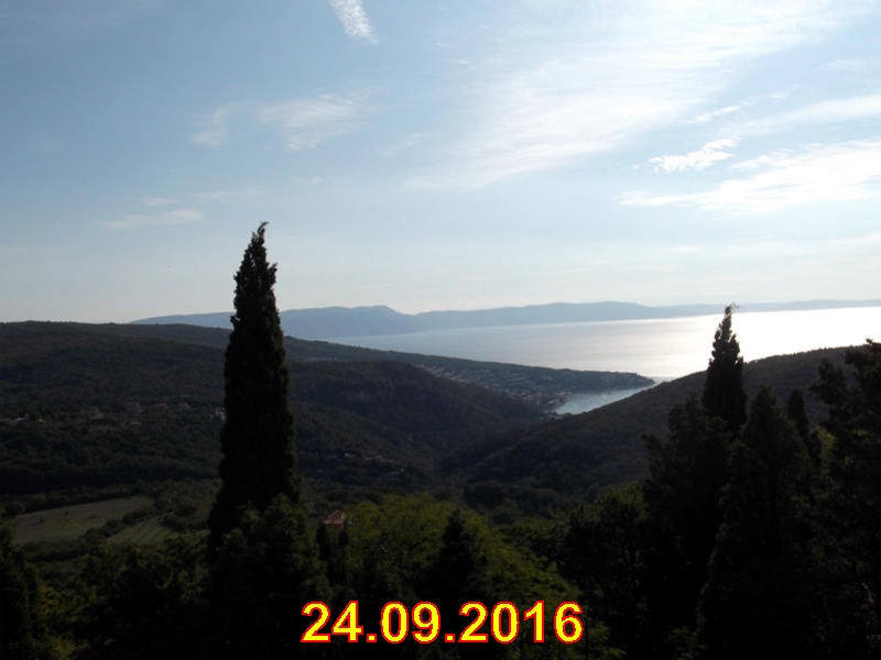 rabac029